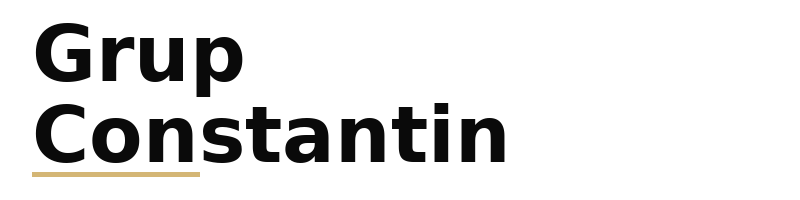 Grup Constantin logo